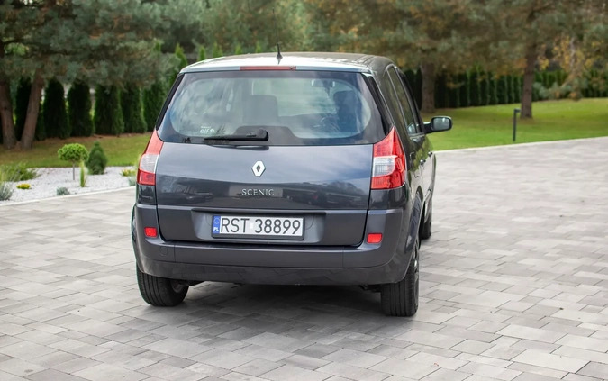 Renault Scenic cena 14950 przebieg: 253150, rok produkcji 2008 z Nisko małe 781